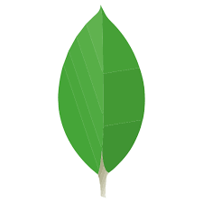 database logo